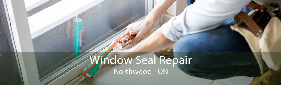 Window Seal Repair Northwood - ON