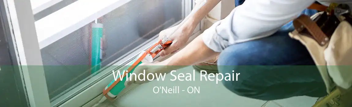 Window Seal Repair O'Neill - ON