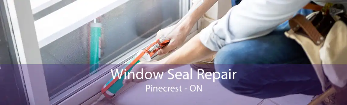 Window Seal Repair Pinecrest - ON
