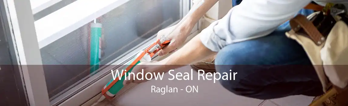 Window Seal Repair Raglan - ON
