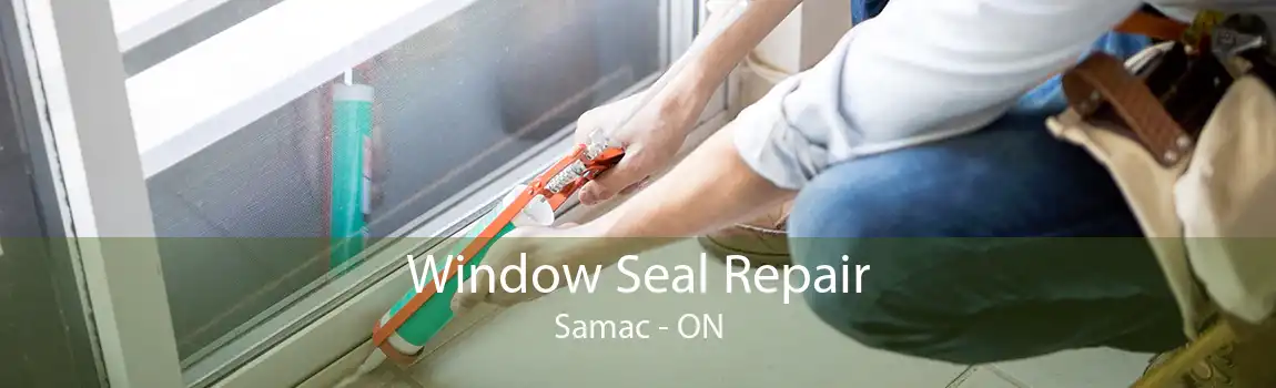 Window Seal Repair Samac - ON