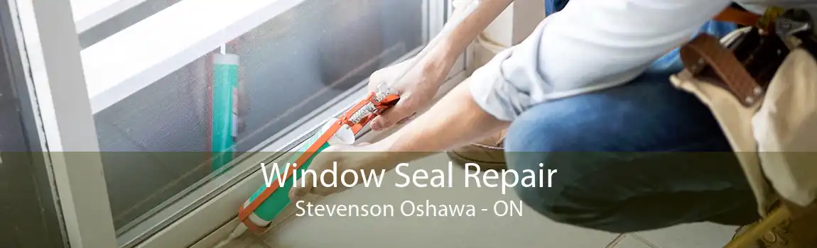 Window Seal Repair Stevenson Oshawa - ON