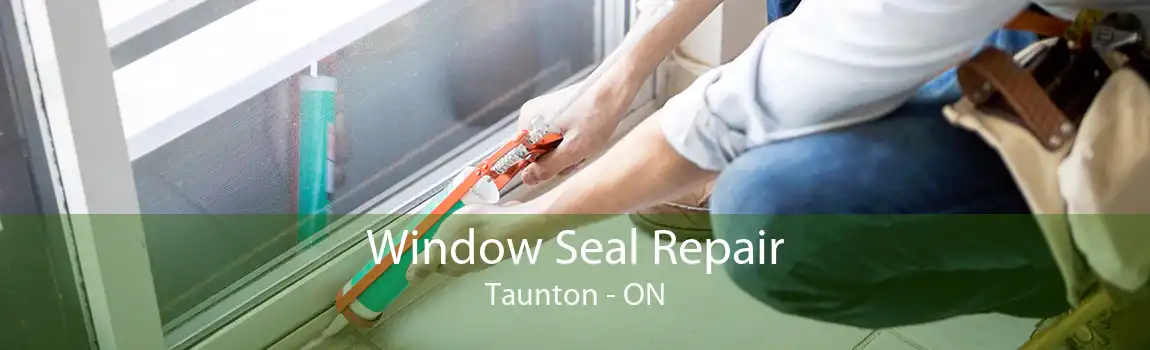 Window Seal Repair Taunton - ON